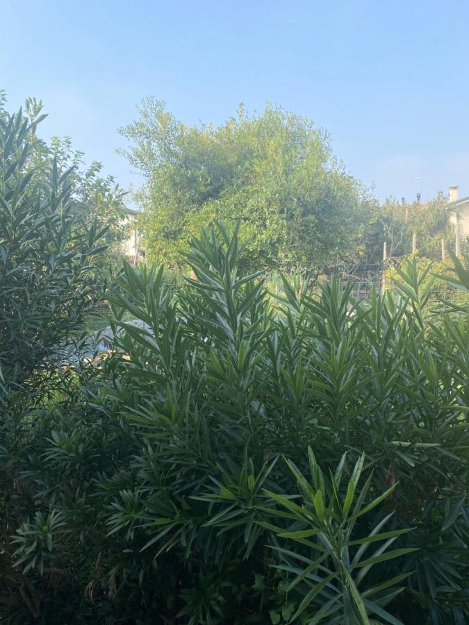 B&B Le Rose Villafranca Padovana 외부 사진